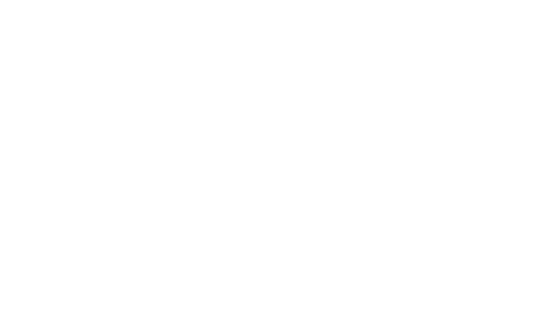 Nissan - Blanco