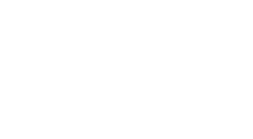 boss