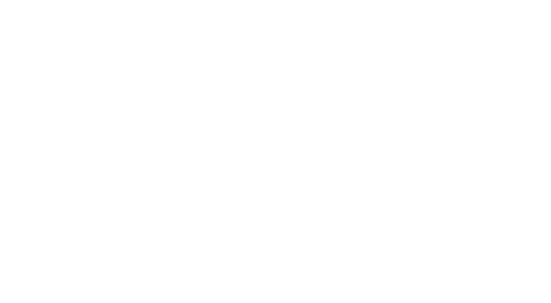 fifa